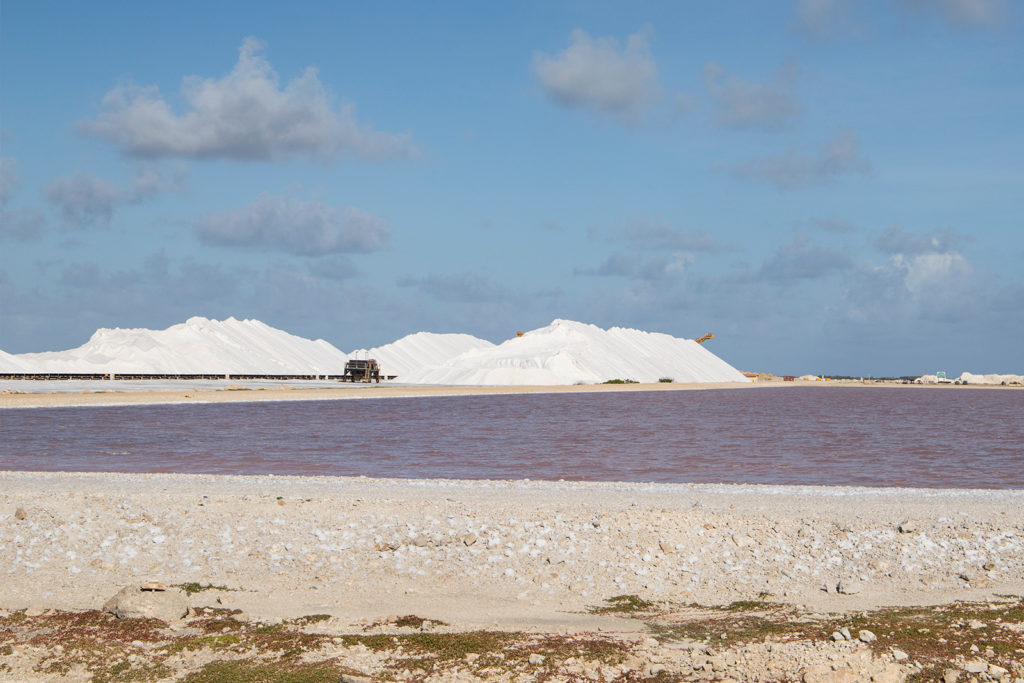 Salinen auf Bonaire in der Karibik